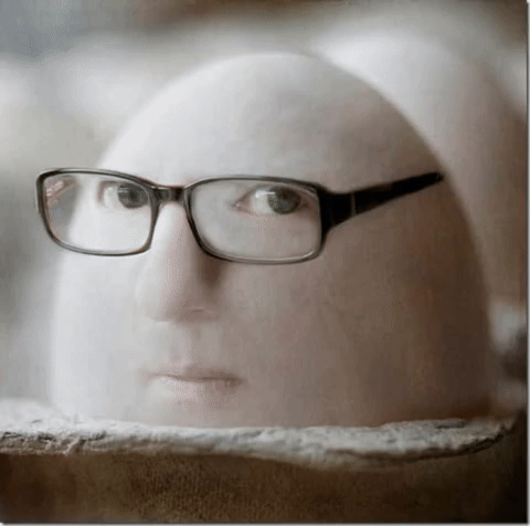 an egg that I found on the internet a long time ago